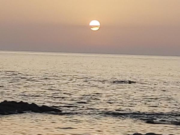 På billedet ses objektet Bilocale in Residenza con Vista Mare - B9 beliggende i byen Aglientu.