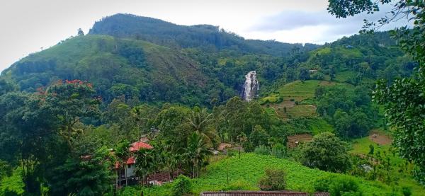 Na zdjęciu widoczny jest obiekt Sen - Rose Ella położony w mieście Ella.