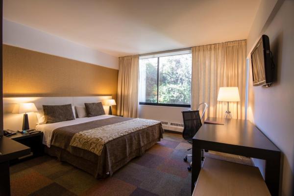 写真にはコンセプシオン市にあるHotel Alboradaが写っています。