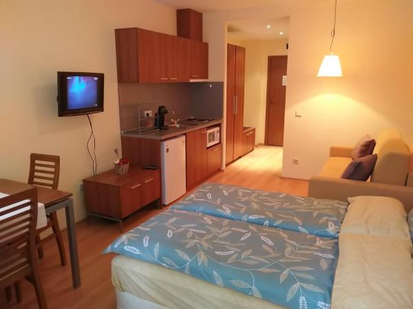 Studio Villa Park 207, Borovets