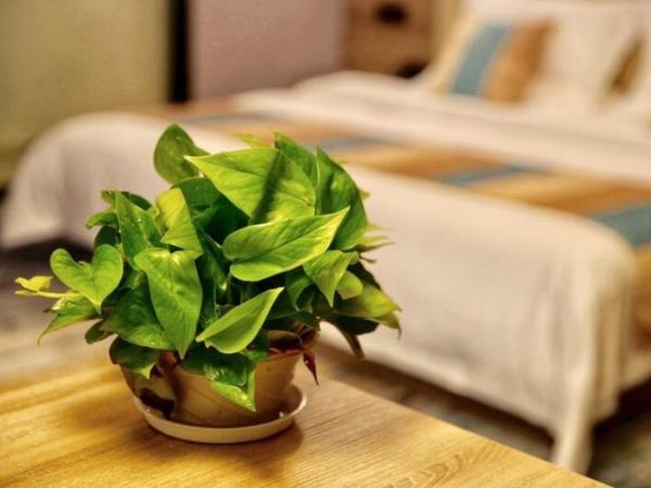 VX Changzhou Jintan District Red Star Macalline Hotel, Changzhou