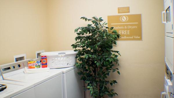 Candlewood Suites Jacksonville By Ihg - Jacksonville