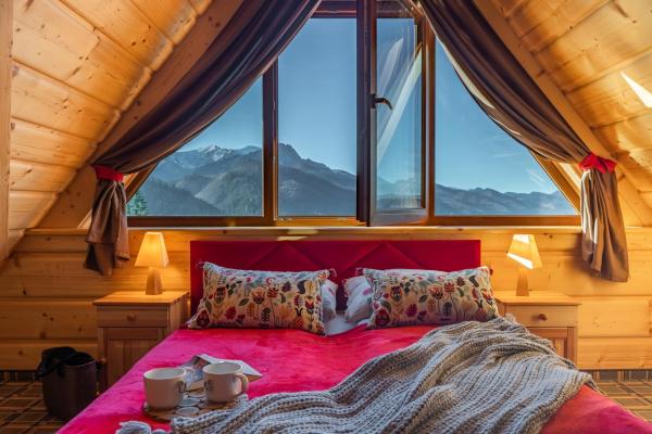 A la foto es mostra l'objecte Apartamenty widokowe U Homera situat a la ciutat de Zakopane.