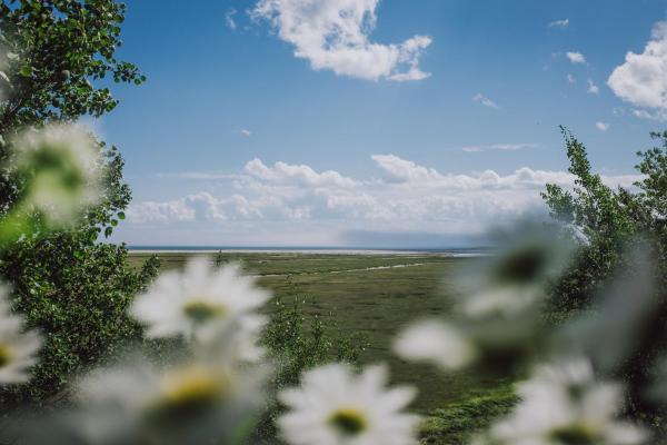A la foto es mostra l'objecte Gîte la Marée situat a la ciutat de Forestville.