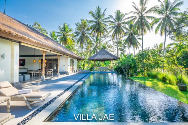 Rouge - Private Villa Jae - Bali