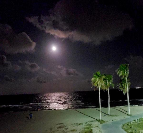 En la foto se muestra el objeto Spectacular Beach View! ubicado en la ciudad de Corpus Christi.