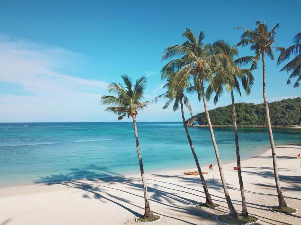 Na fotografii je vidět objekt Savoy Hotel Boracay near Newcoast Beach nacházející se ve městě Boracay.