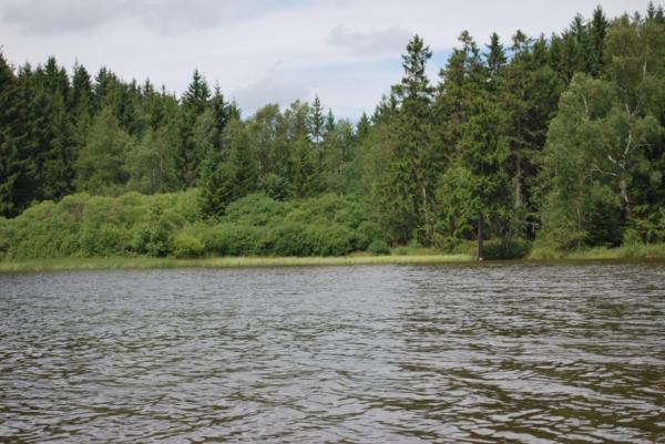 A la foto es mostra l'objecte Ferienhaus Kamin situat a la ciutat de Clausthal.