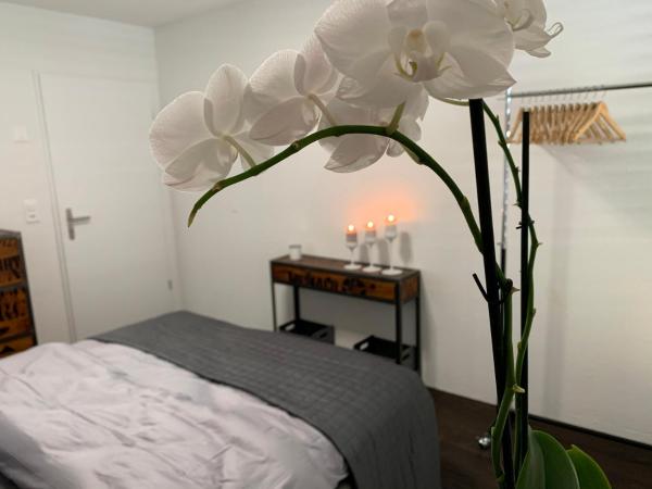 Bilde 4: Central & Elegant Room in Biel