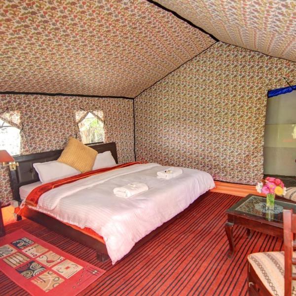 Royal Riders Camp - Nubra Valley