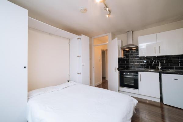 Great Studio Flat in Central London Zone 1, Londra