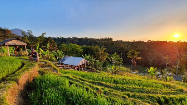 The photo shows the Hara Bali Eco Homestay located in the city of Balian.