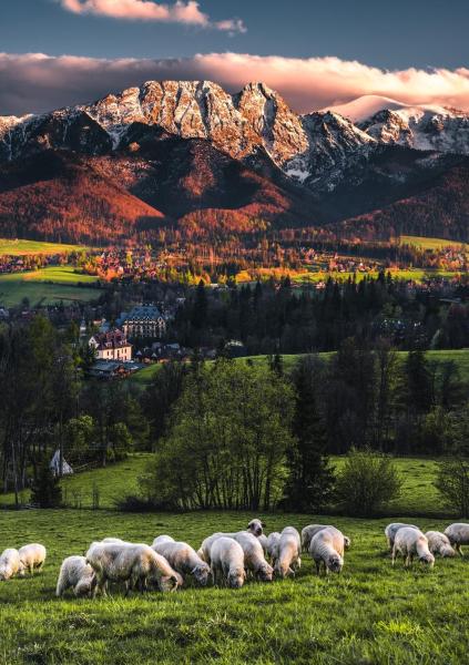 A la foto es mostra l'objecte Villa jumper widok na całe Tatry łazienka nie jest w pokoju i jest wspólna z innymi ludźmi situat a la ciutat de Zakopane.