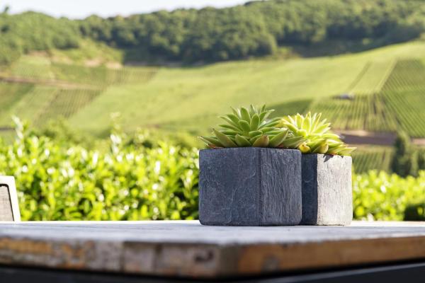 Fotografie 6: Weingut & Gästehaus Christoph Clüsserath