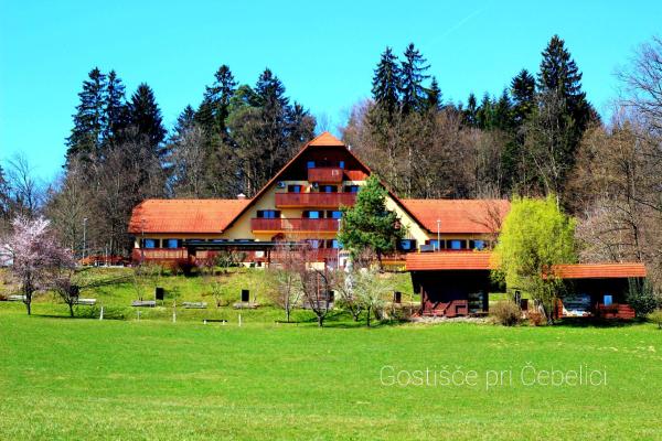 Guesthouse Pri Cebelici