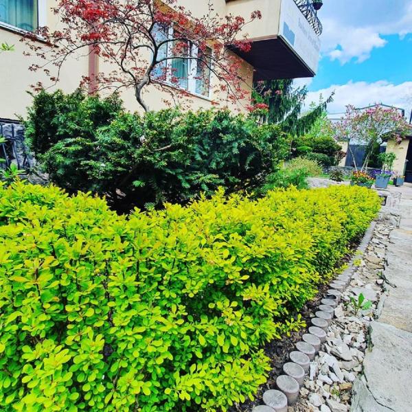 Фотография 4: BTHouse, Pokoje Gościnne