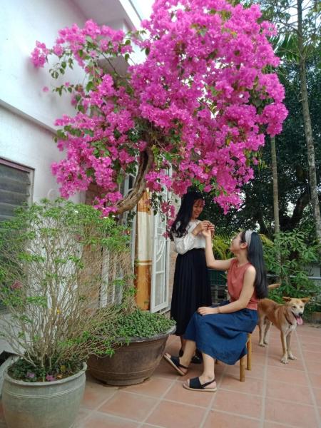 A la foto es mostra l'objecte Le Home situat a la ciutat de Ấp Long Hồ Hạ.