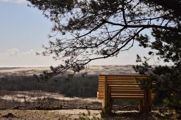 Foto 9: Forest View