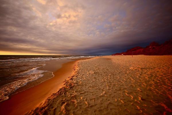 Foto 8: Forest View