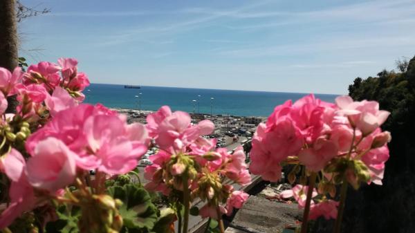 Foto 1: Torreammare