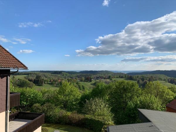 Gemütliche Ferienwohnung Harz Braunlage Hohegeiß - Harz