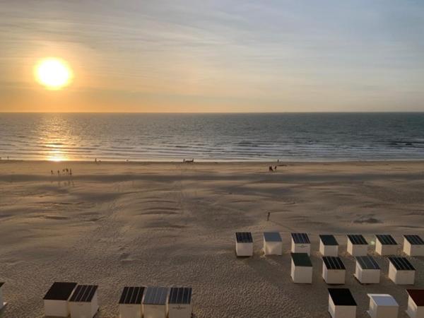 A la foto es mostra l'objecte Parel aan het strand situat a la ciutat de Oostende.