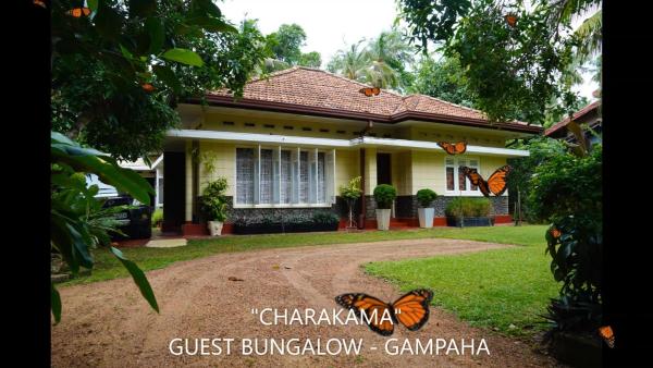 Auf dem Foto ist das Objekt CHARAKAMA Guest Bungalow - GAMPAHA in der Stadt Weediyawatta zu sehen.