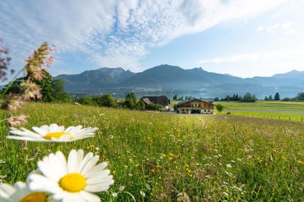 Billede 7: Fumerhof