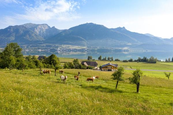 Billede 5: Fumerhof