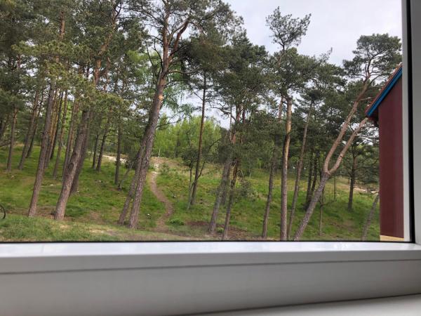 Foto 4: Forest View