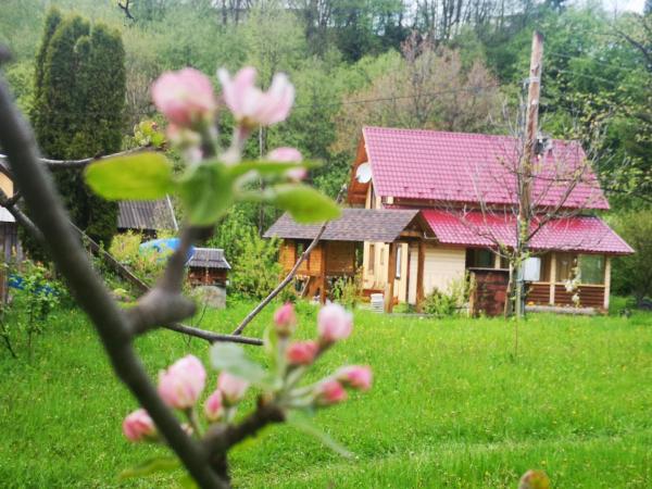 Карпатський світанок, Vorokhta