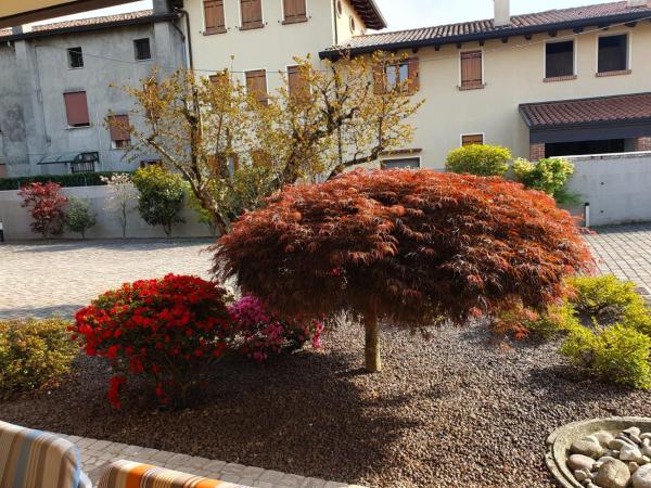 Casa Sofia photo 4