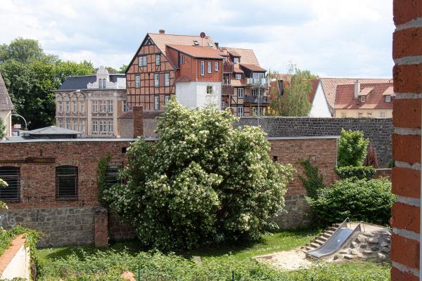 Ferienwohnung Quedlinburg Harz - Quedlinburg