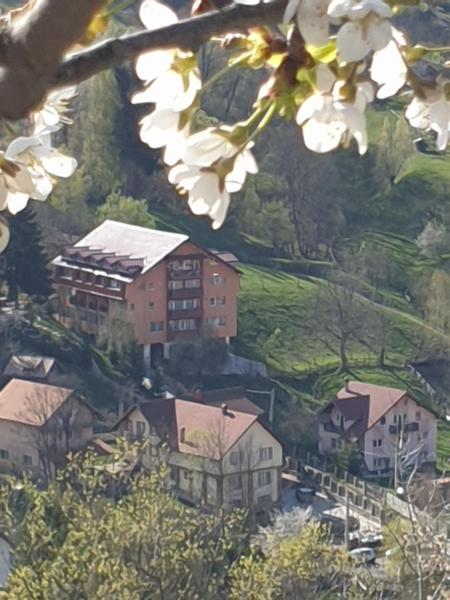 Na zdjęciu widoczny jest obiekt Vila Muntii Bucegi & SPA położony w mieście Bran.