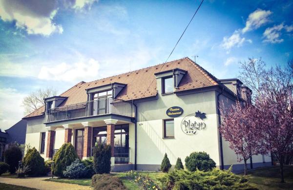 Na zdjęciu widoczny jest obiekt Penzion Platan położony w mieście Ňárad.