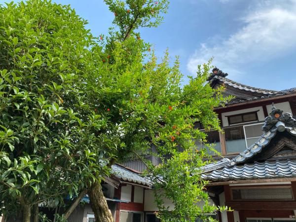 田舎生活体験福井県観光者向け古民家的照片3