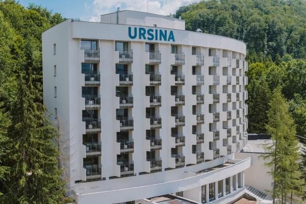 En la foto se muestra el objeto Ensana Ursina ubicado en la ciudad de Sovata.