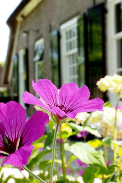 Kuva 9: Bed & Breakfast De Oude Heerd
