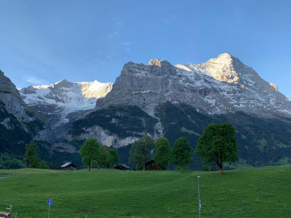 Foto 6: Eiger, Jungfrau, luxury garden apartment
