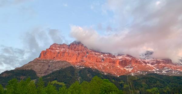 Foto 8: Eiger, Jungfrau, luxury garden apartment