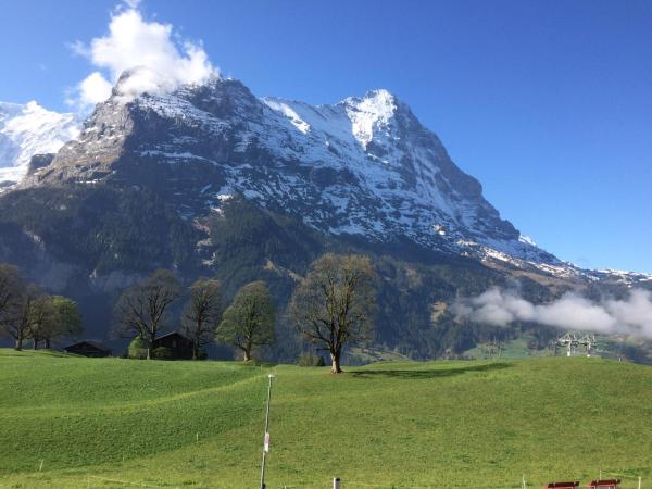 Foto 9: Eiger, Jungfrau, luxury garden apartment
