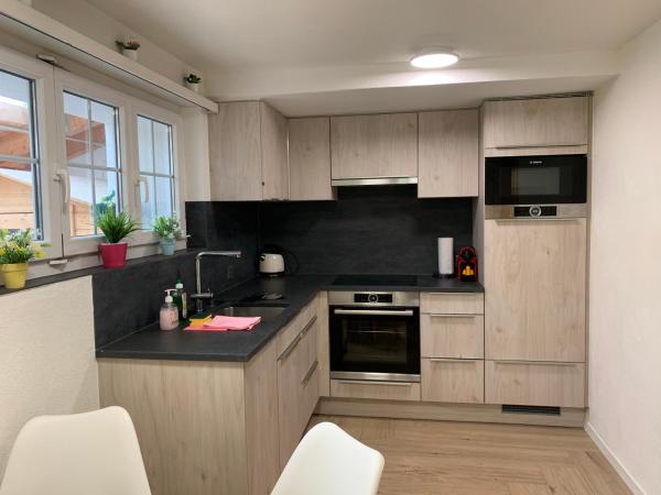 Foto 3: Eiger, Jungfrau, luxury garden apartment