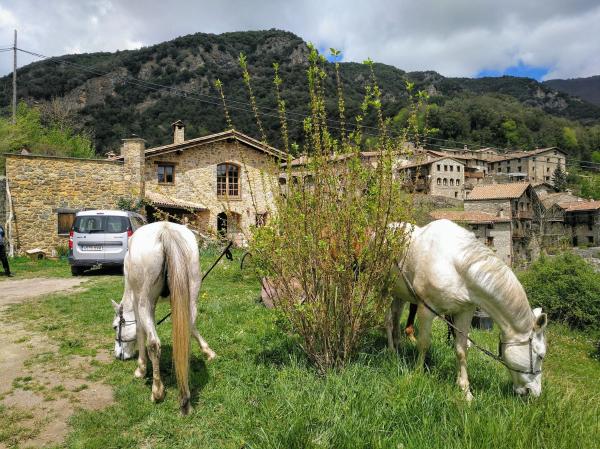 Mas La Cabanya Beget Xalet De Muntanya - Spain