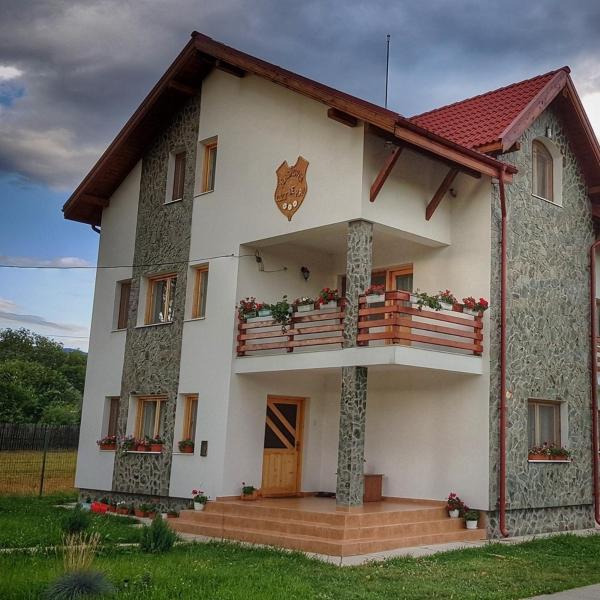 Kuvassa näkyy kohde Pensiunea Colț de rai, joka sijaitsee kaupungissa Polovragi.