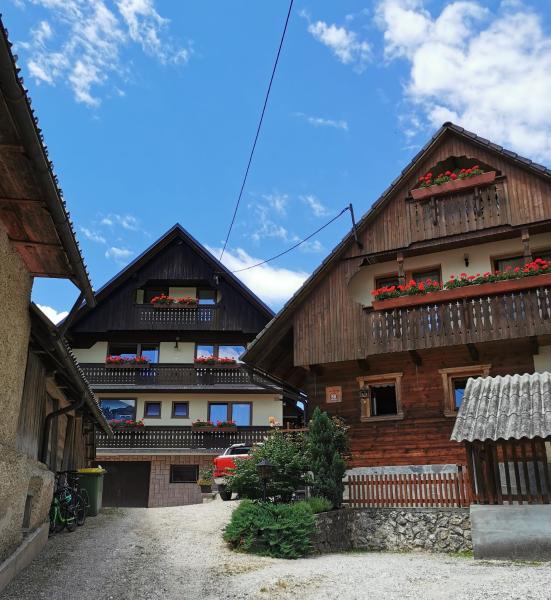 A la foto es mostra l'objecte Apartmaji Pavc situat a la ciutat de Bohinj.