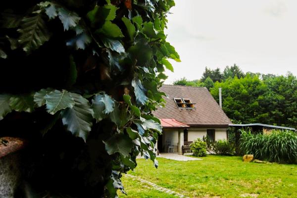Nella foto è visibile l'oggetto Chaloupka Žďárky situato nella città di Vysoká Srbská.