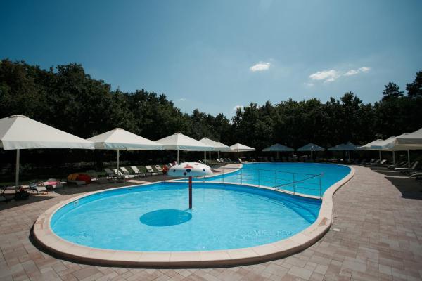Na fotografii je vidět objekt Forrest Park&Resort nacházející se ve městě Orlovshchina.