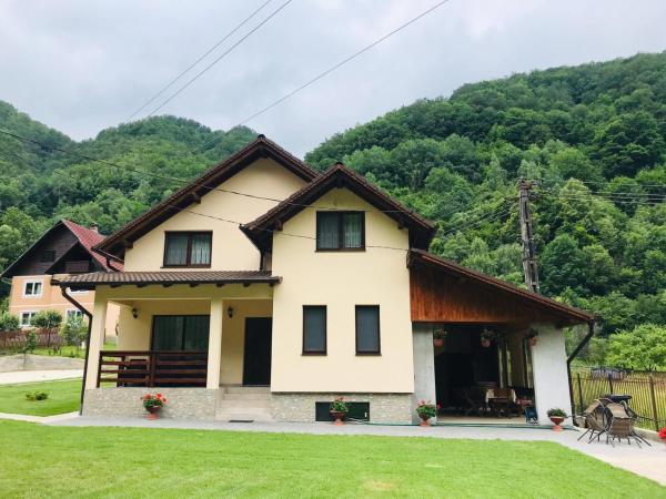 写真にはDobra市にあるCasa de vacanta Danaが写っています。