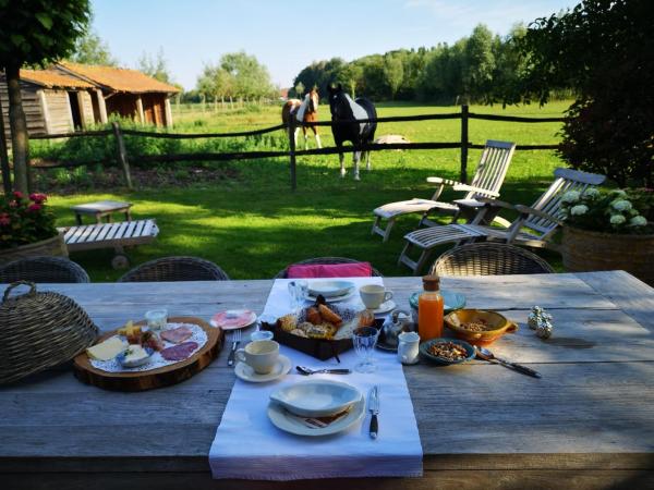 Kuvassa näkyy kohde Casa Leone near Bruges with jacuzzi & parking, joka sijaitsee kaupungissa Ruddervoorde.