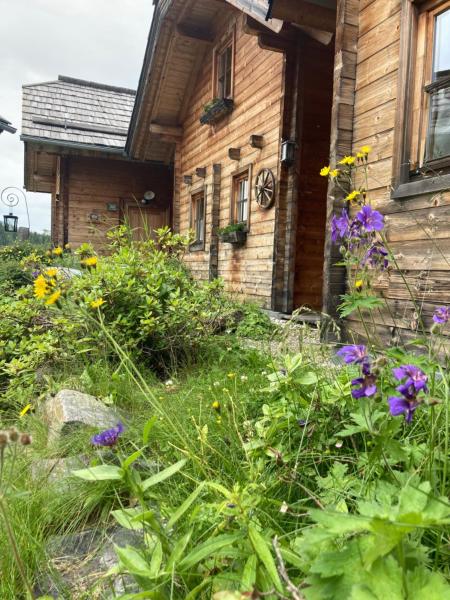 Berg Chalet 303 - Österreich